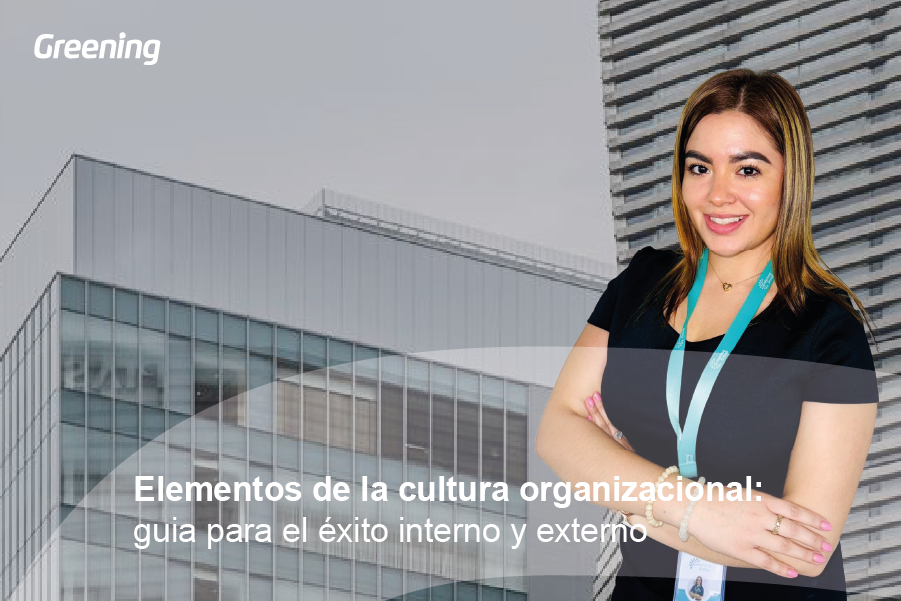 Elementos de la cultura organizacional: Guia para el exito interno y externo